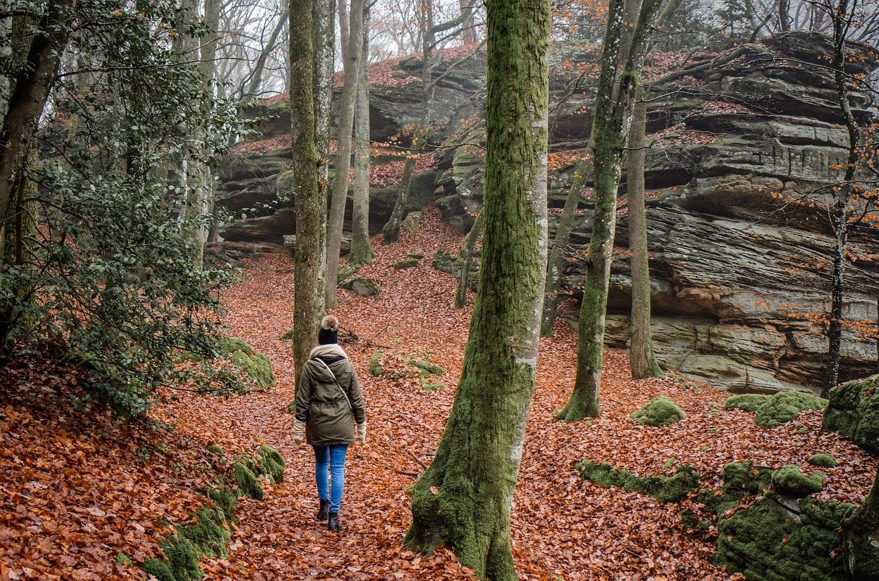 Nature Hikes