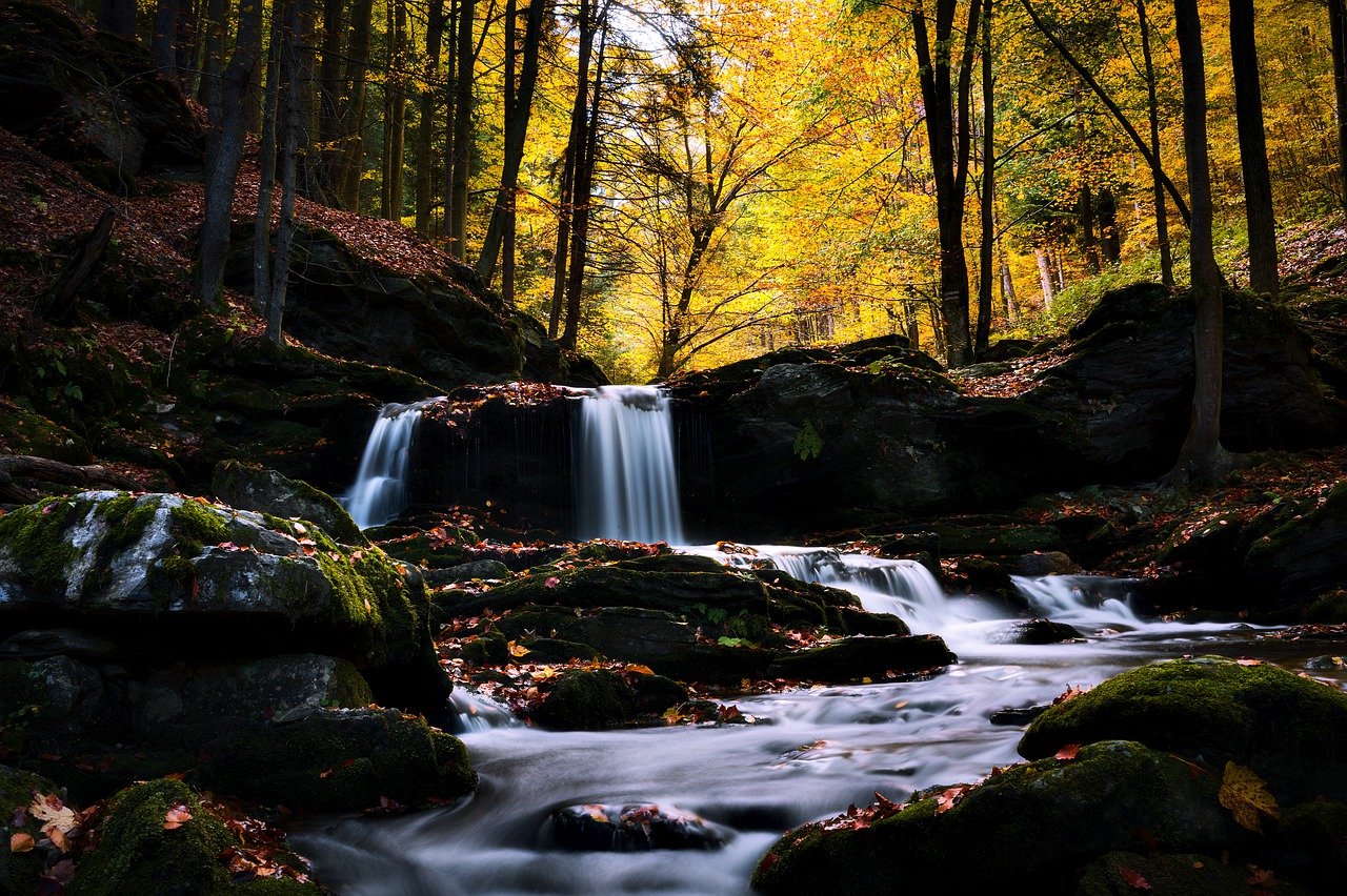 stream, river, rocky stream-7957258.jpg